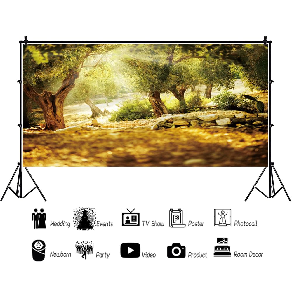 Amazon.com : Leyiyi 20x10ft Natural Scenery Backdrop Olive Trees